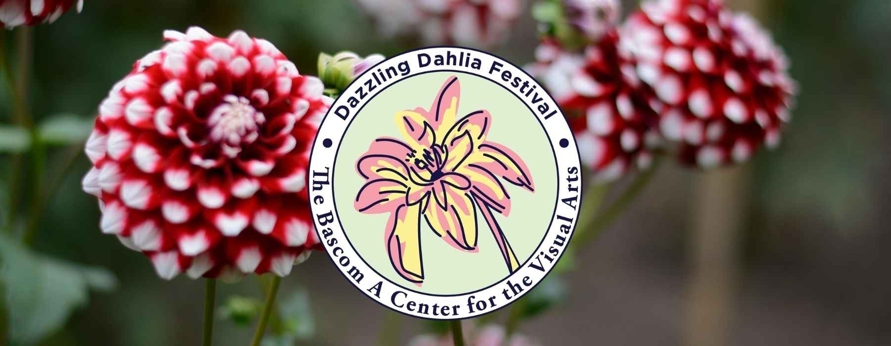 Single Bloom Competition 